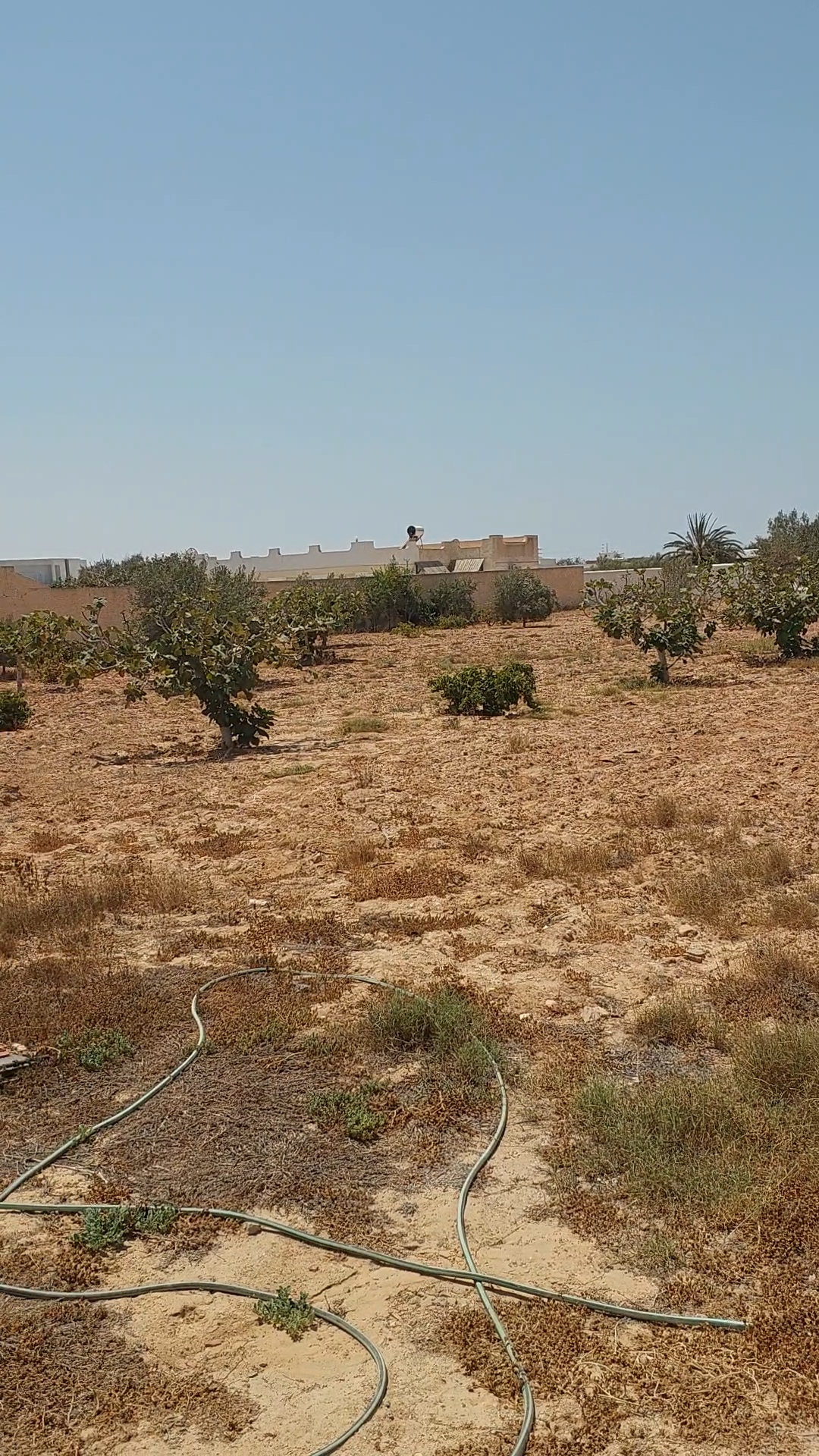 Terrain cloturé de 3900 m2 avec permit de batir