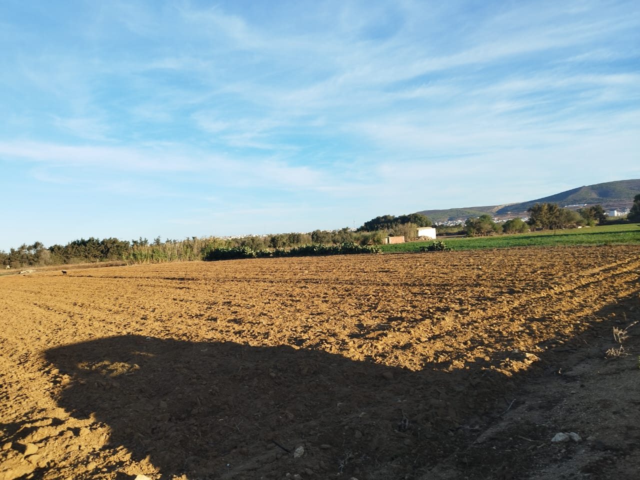 Investissement de 4000m à haouaria