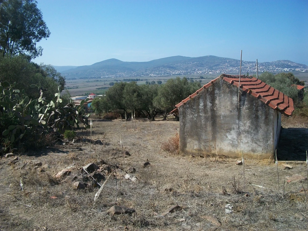 Terrain à tabarka