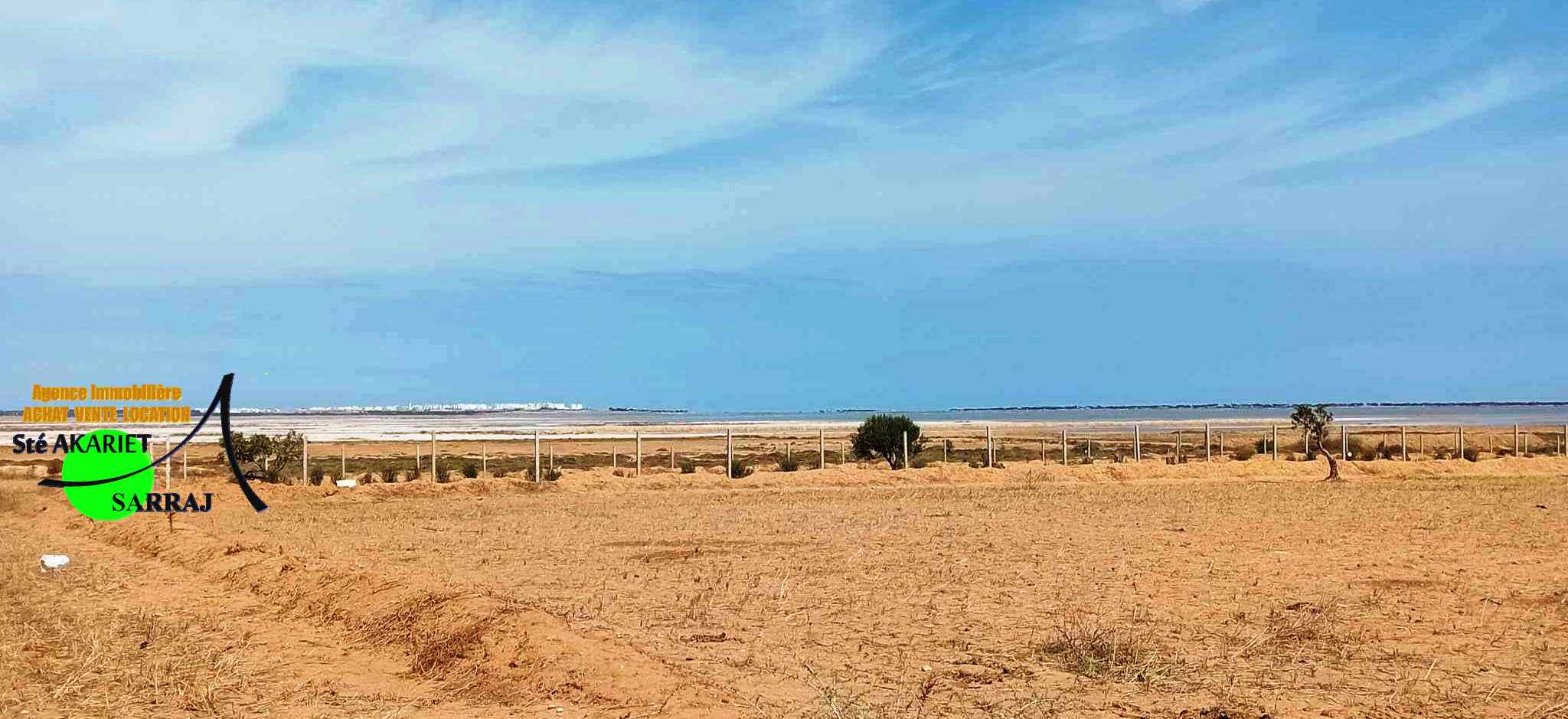 Offre à ne pas rater terrain 3066m à fokaia