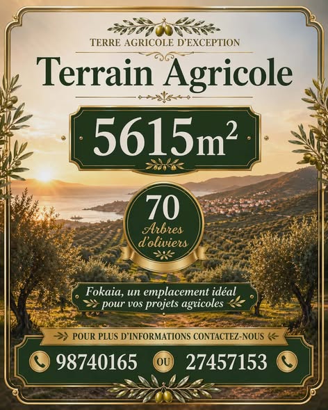 Lot d'invesstisement 5615m sur l'autoroute fokaia