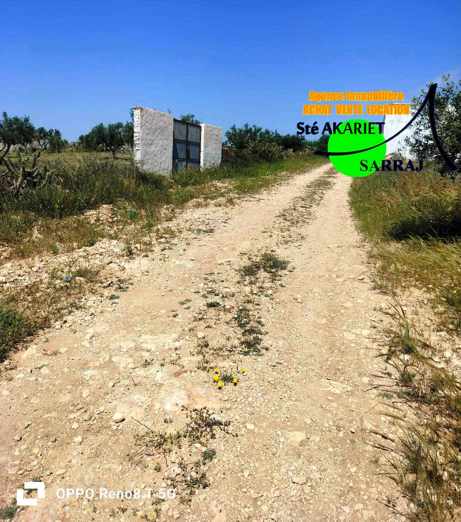 Terrain 4 hectare et 800m à sidi bouali vers knena