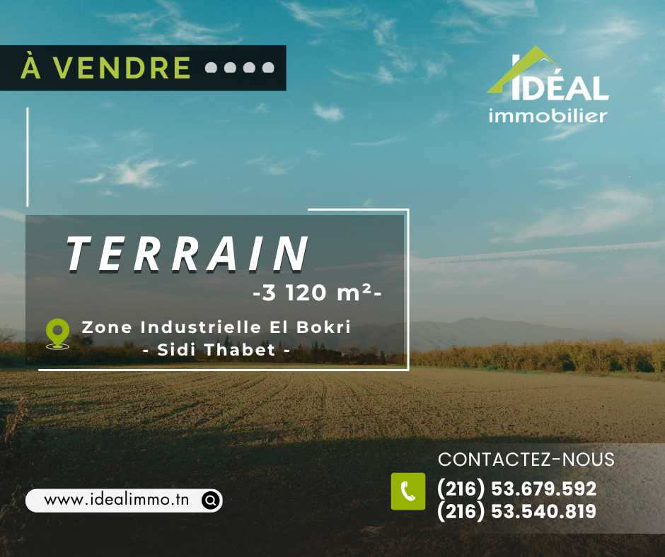 Av terrain zi el bokri