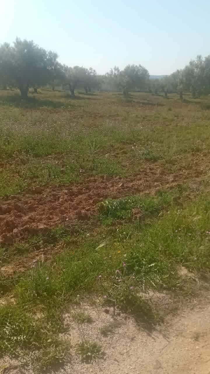 Av beau terrain de 1000m à hammamet sud