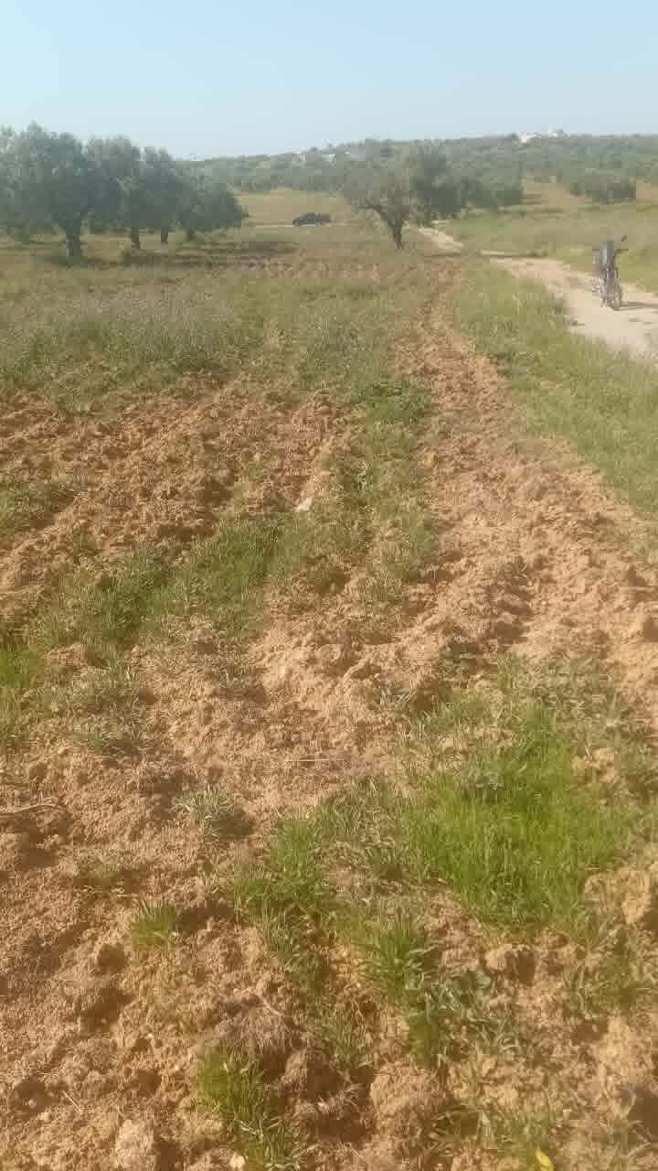 Beau terrain 1000m proche hammamet yasmine