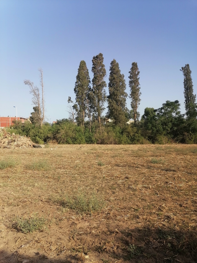 Terrain nu pour habitation métrage 398m2