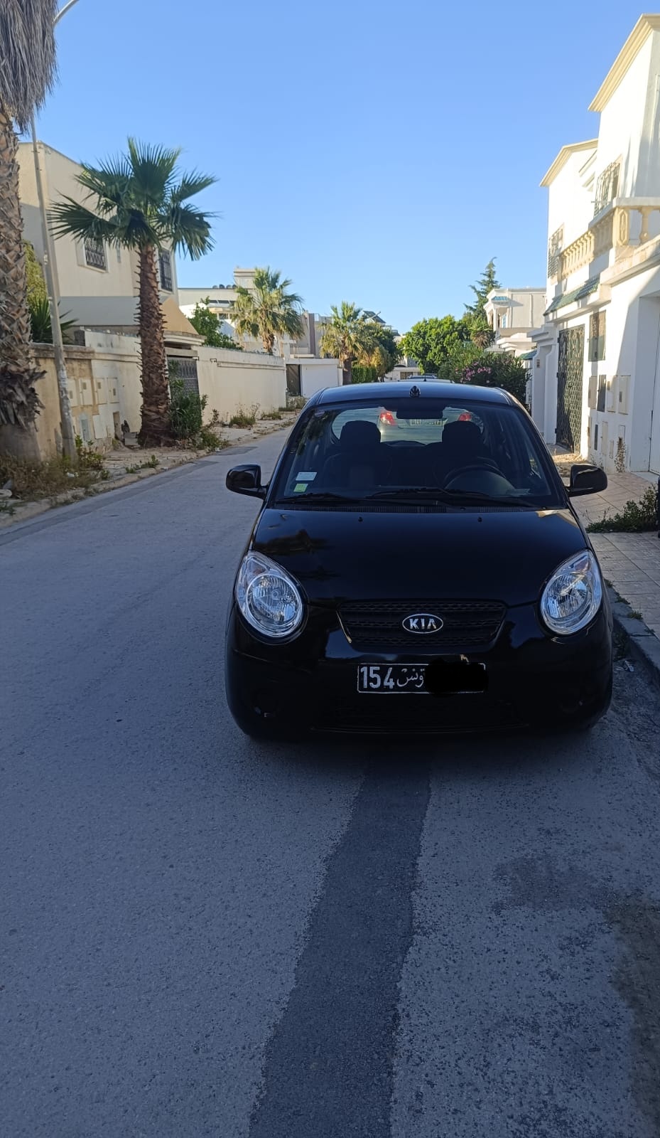 Kia picanto