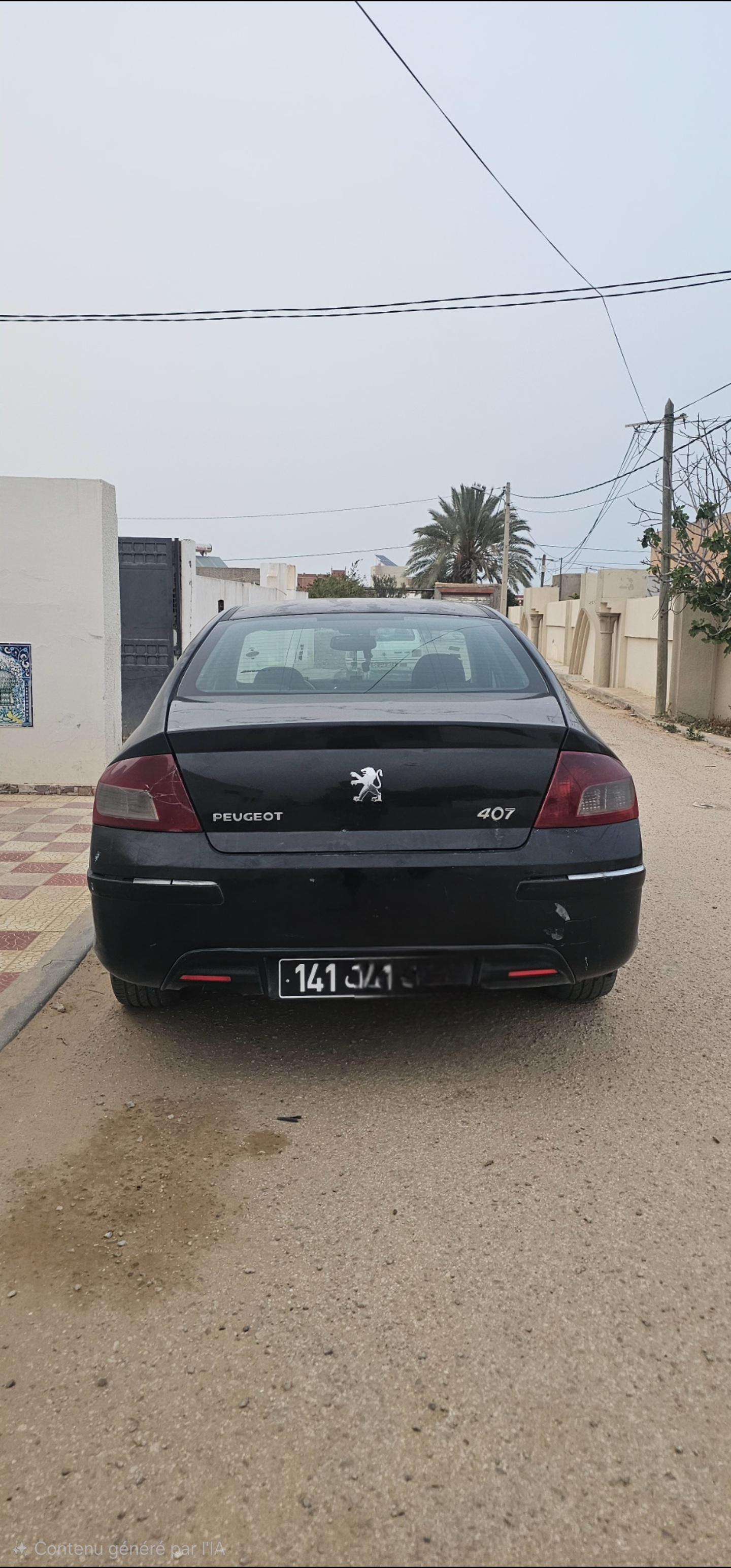 Peugeot 407