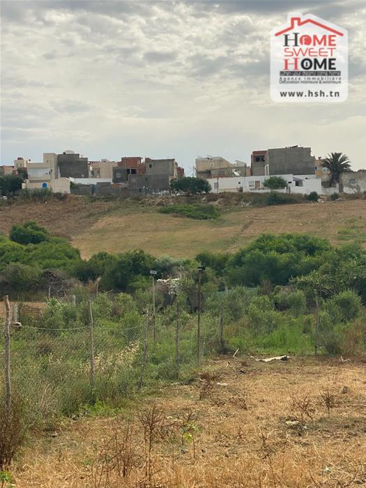 Terrain villa triana à kélibia