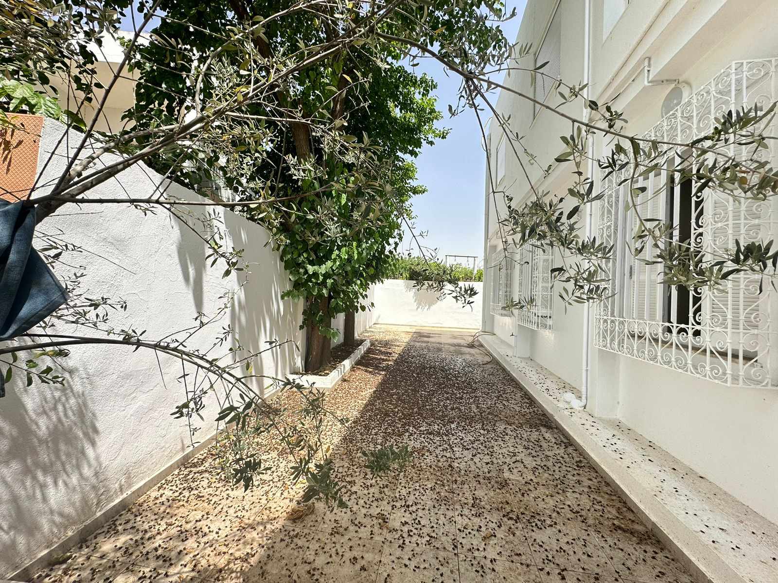 Rez de chaussée s5 à mutuelle ville