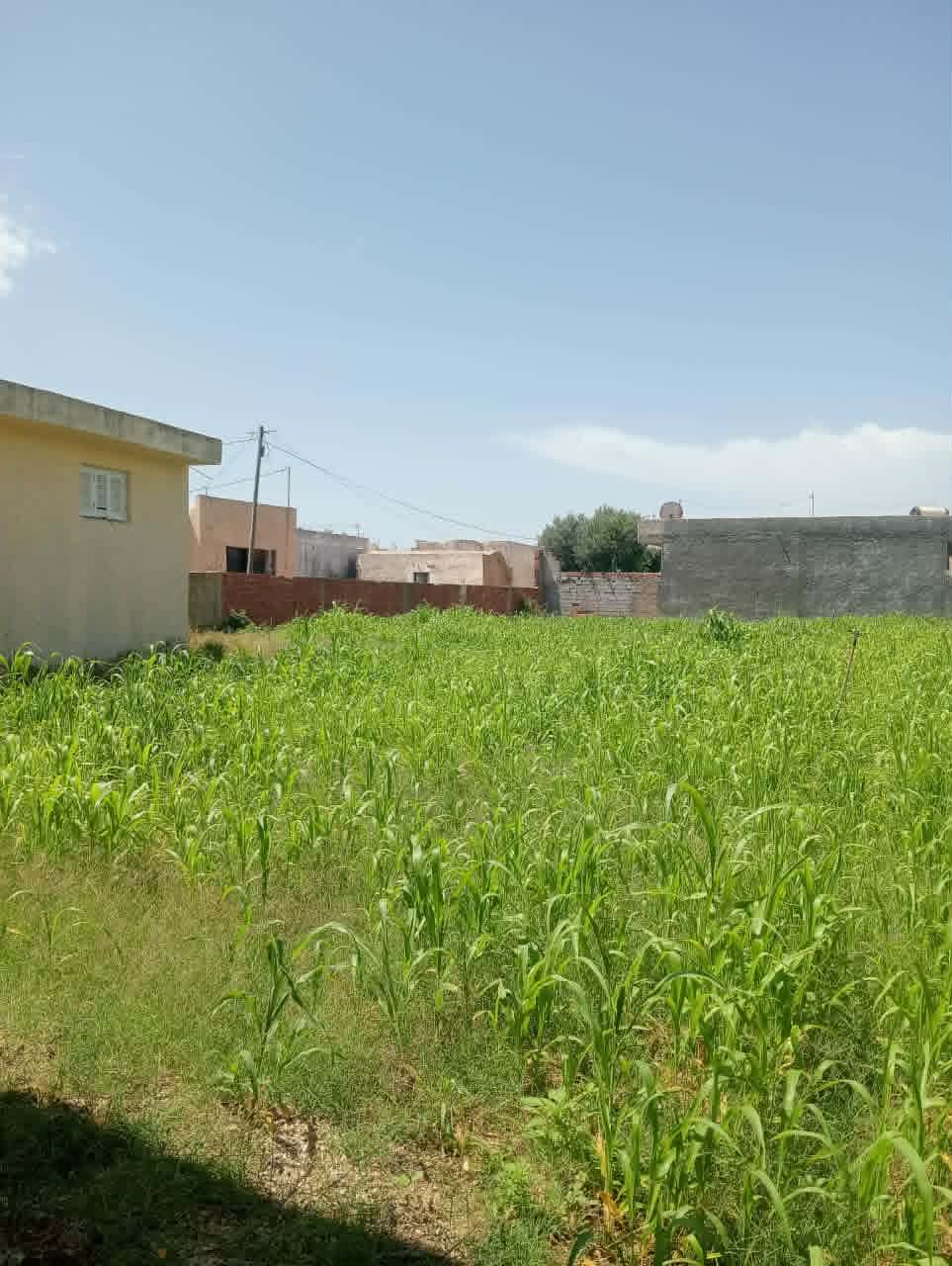 Maison 1400m2 sur deux routes