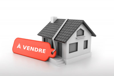 Villa avec deux niveaux séparée