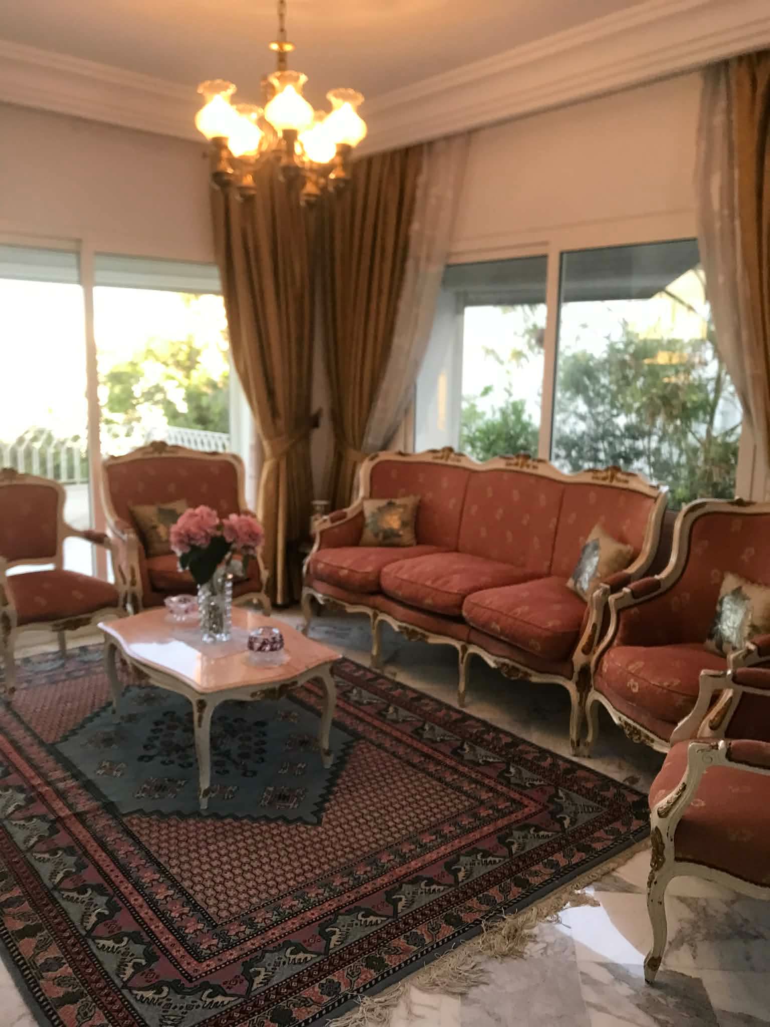 Ensemble salon luis xv