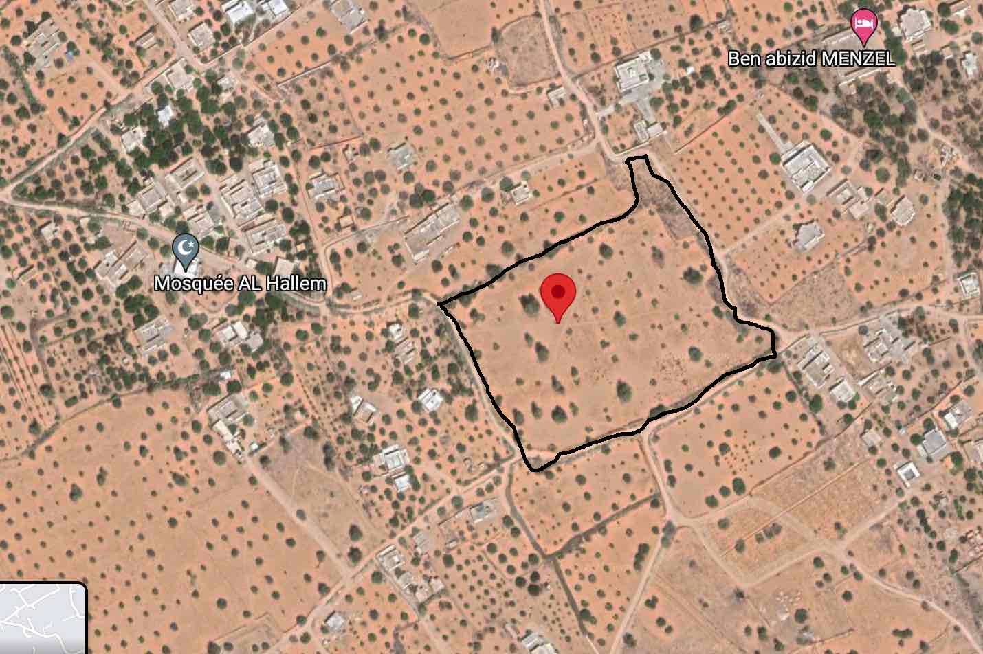 3 hectares a jerba