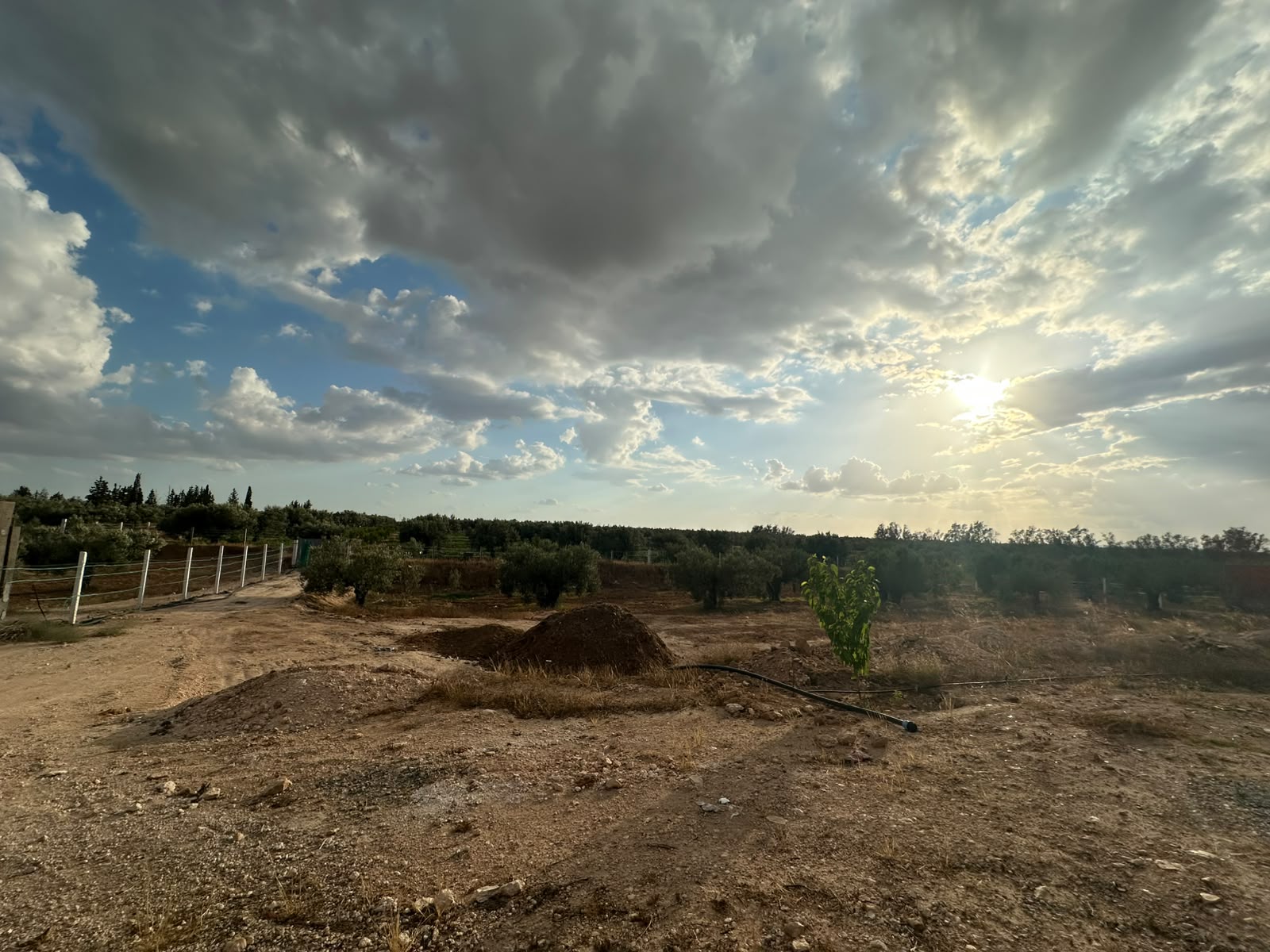 Terrain agricole prix attractif