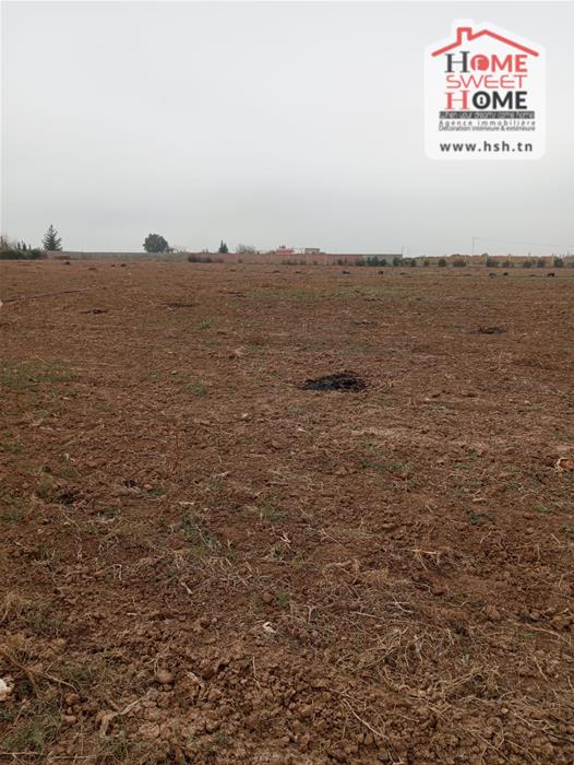 Terrain agricole prestine mjez el beb