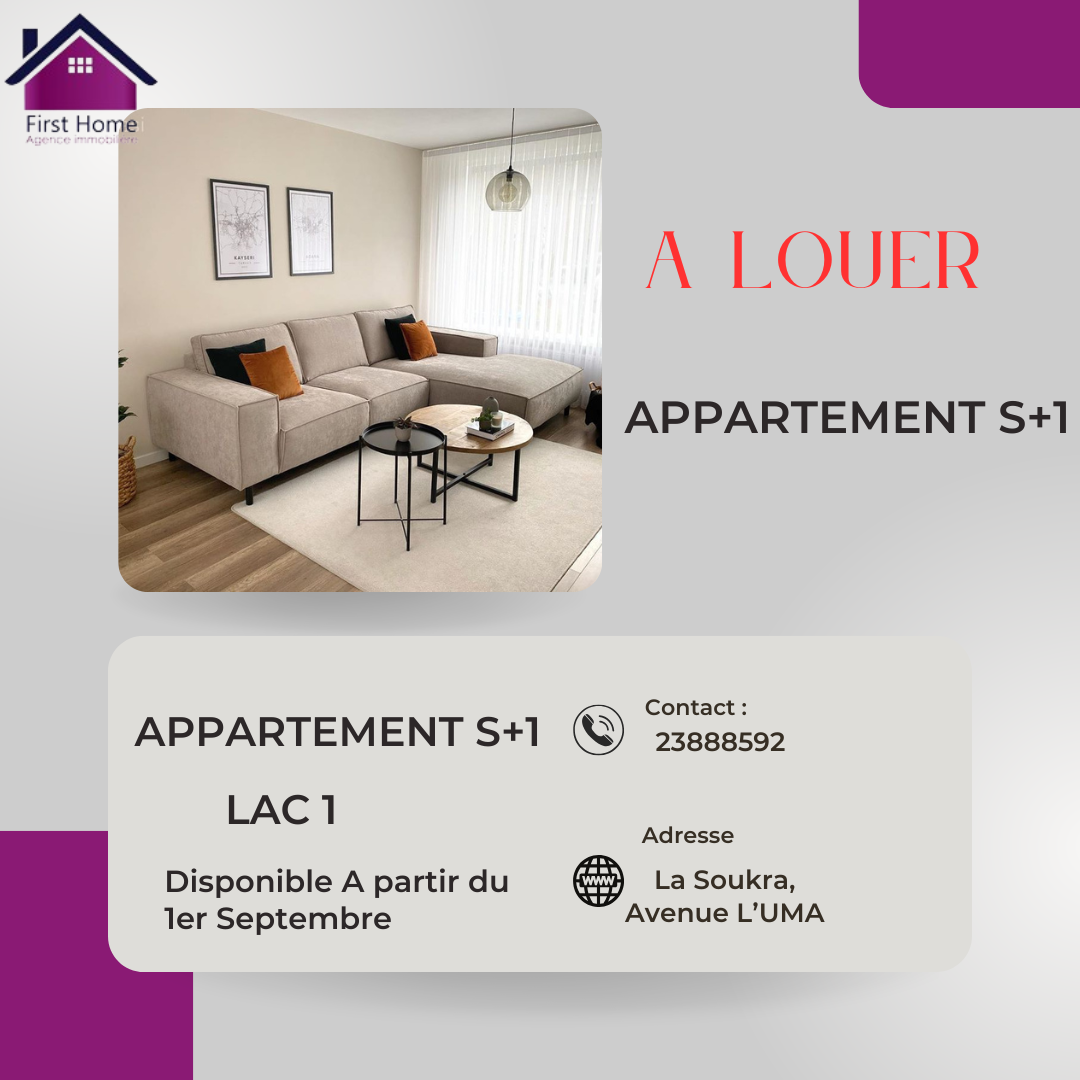Appartement s1 lac1