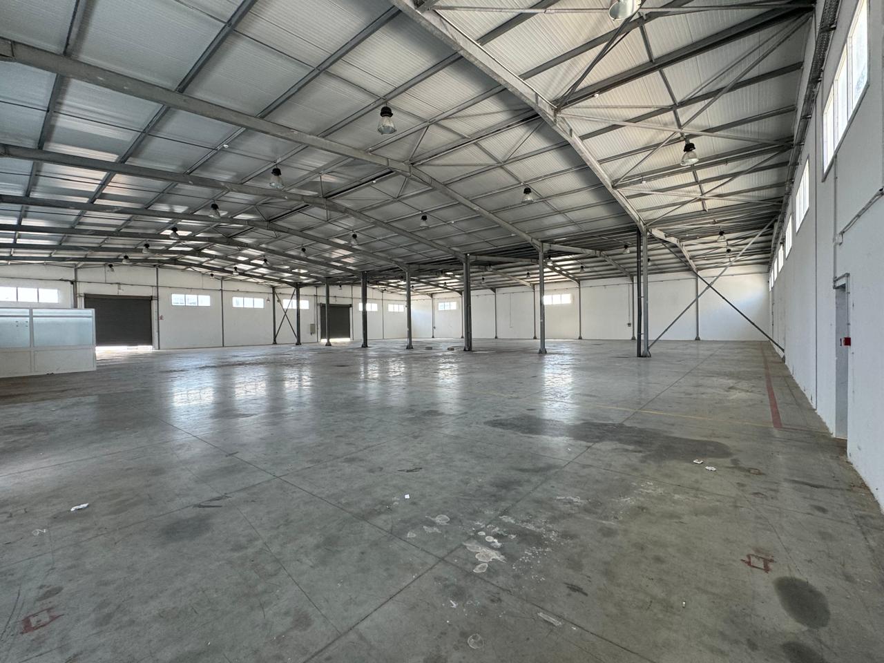 Depot indutriel 5000 m2à multiple usage à ben aous