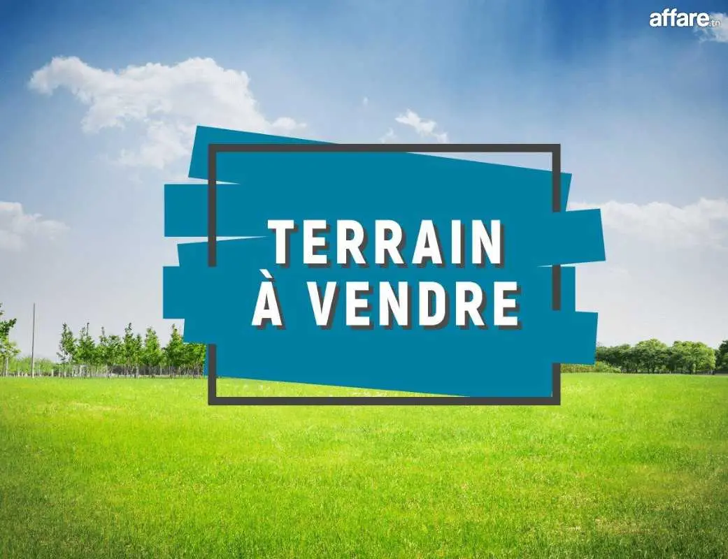 Un terrain titré situé à cité el waha bizerte