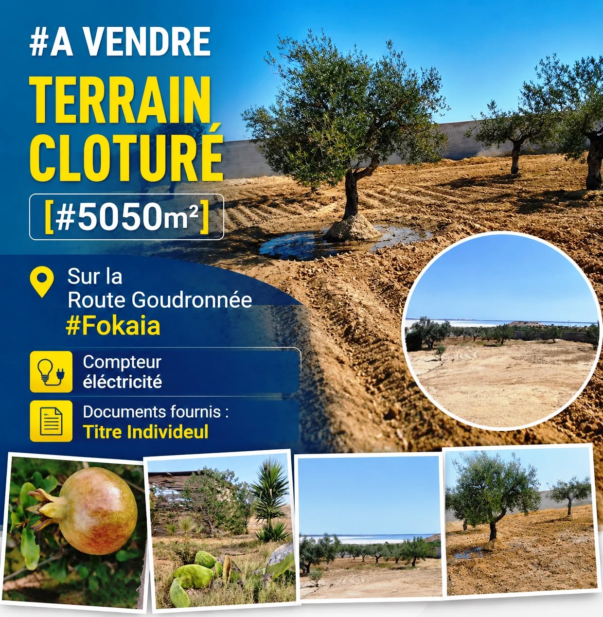 Terrain cloturé 5050m sur route goudronnée fokaia