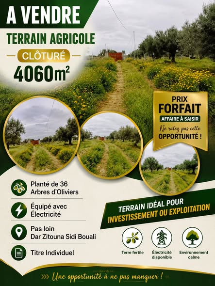 Terrain 4060m pas loin dar zitouna à sidi bouali