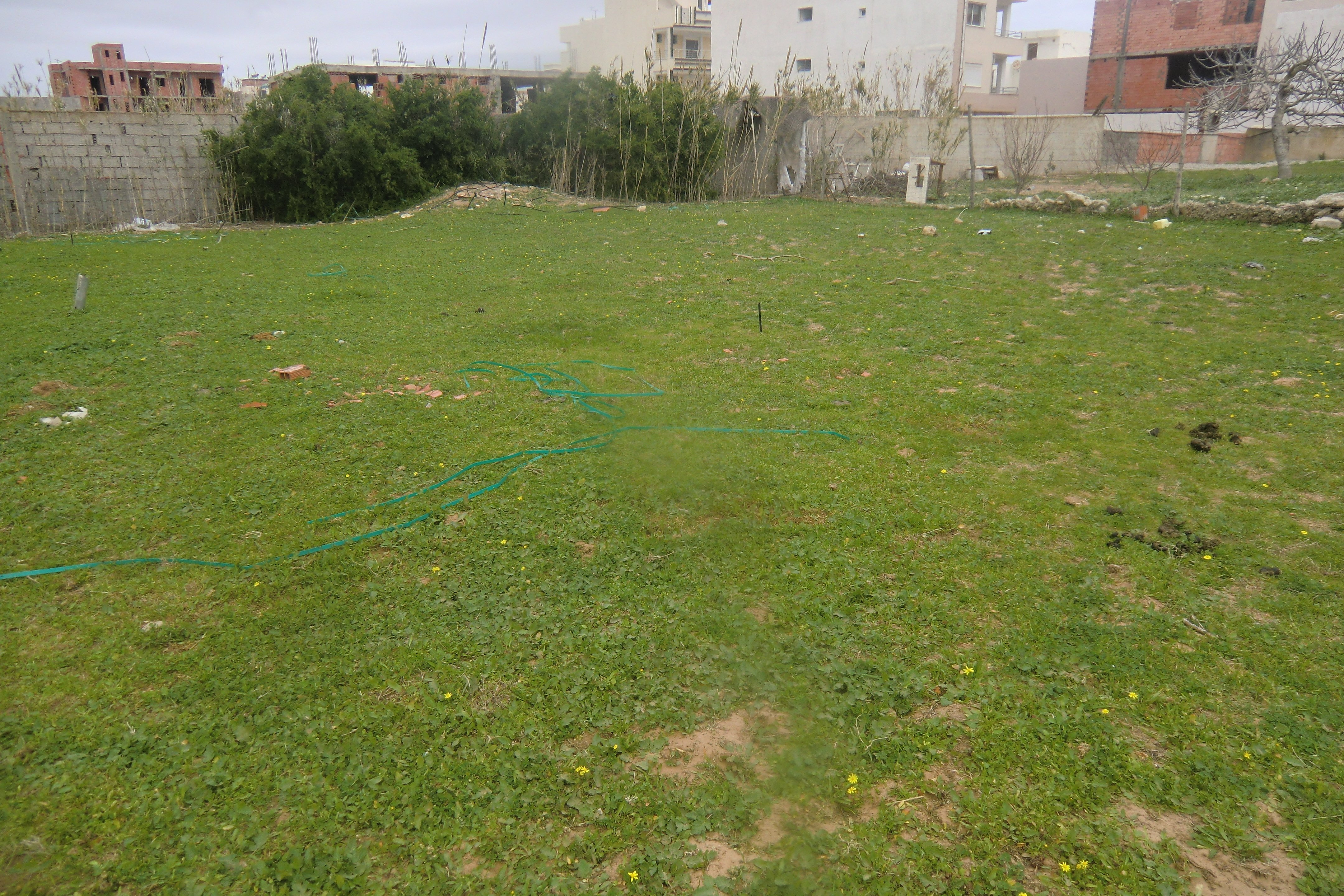 Lot de terrain 200m2 seulement a 20000 dt