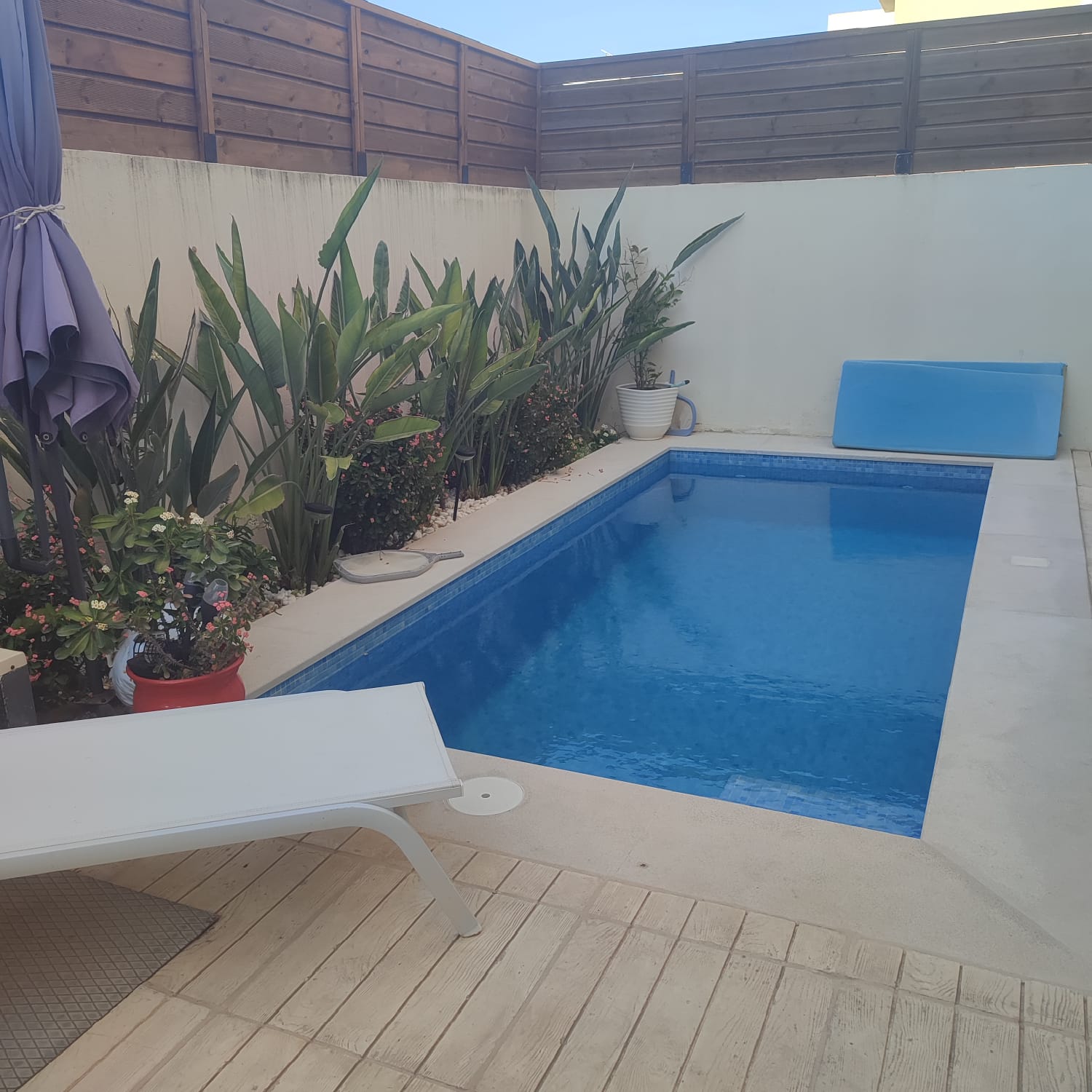 S2 avec piscine à la marsa