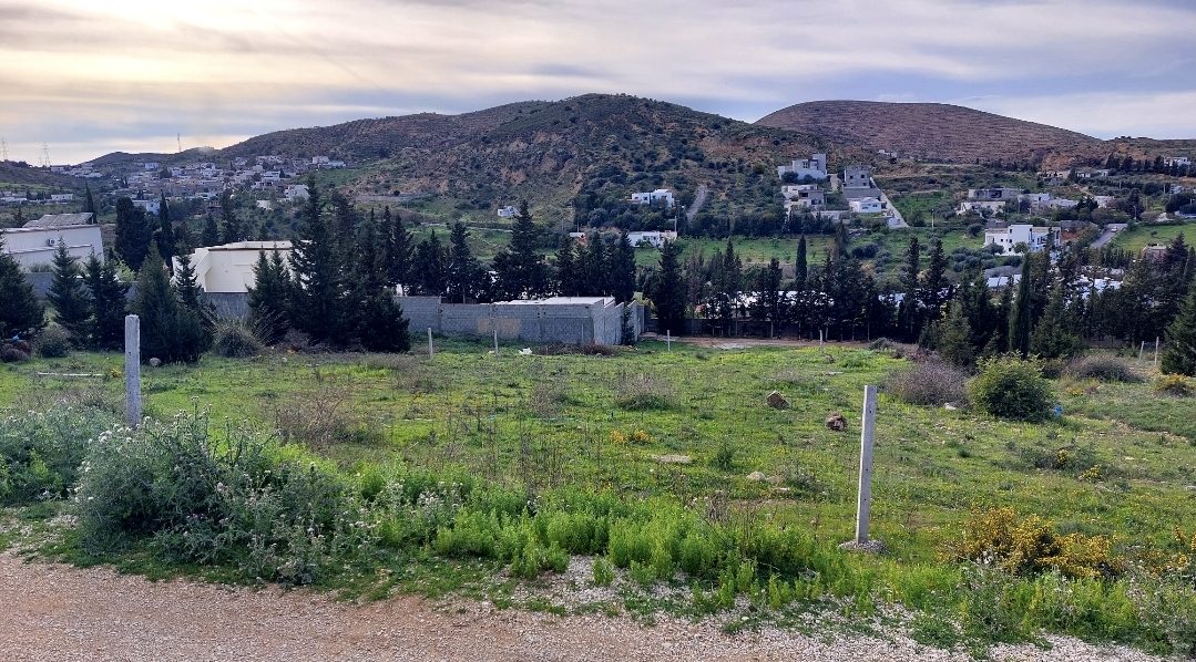 Terrain 1000m jabbes
