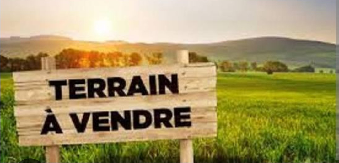 Ariana terrain commercial