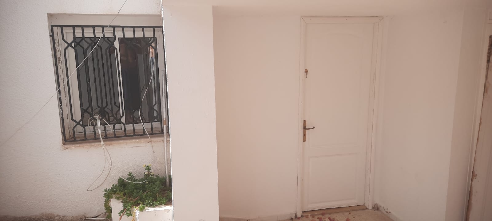 L studio 2c rezjardin renedescartes collegeennasr2