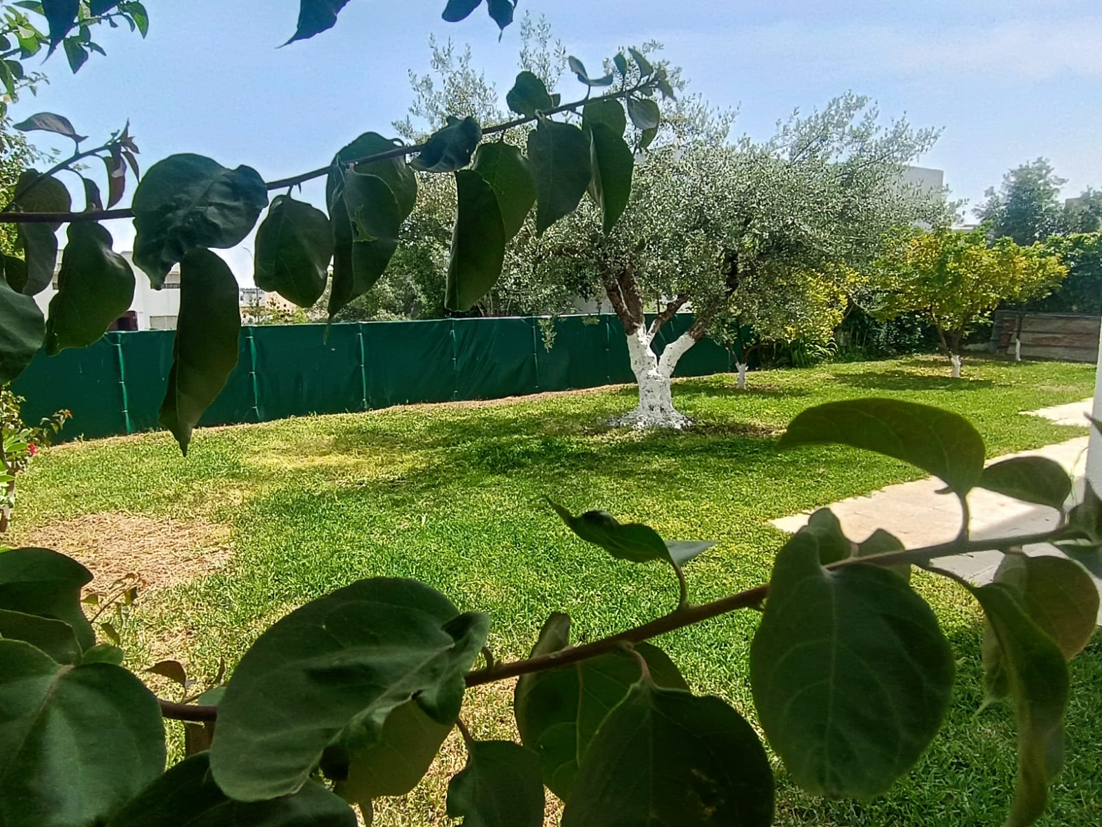 Rez de jardin de villa de 520 m2 el menzah7