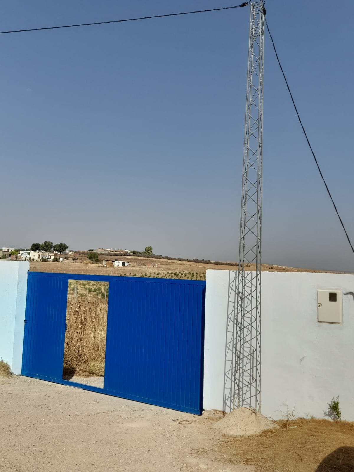 Terrain un hectare borj el amri