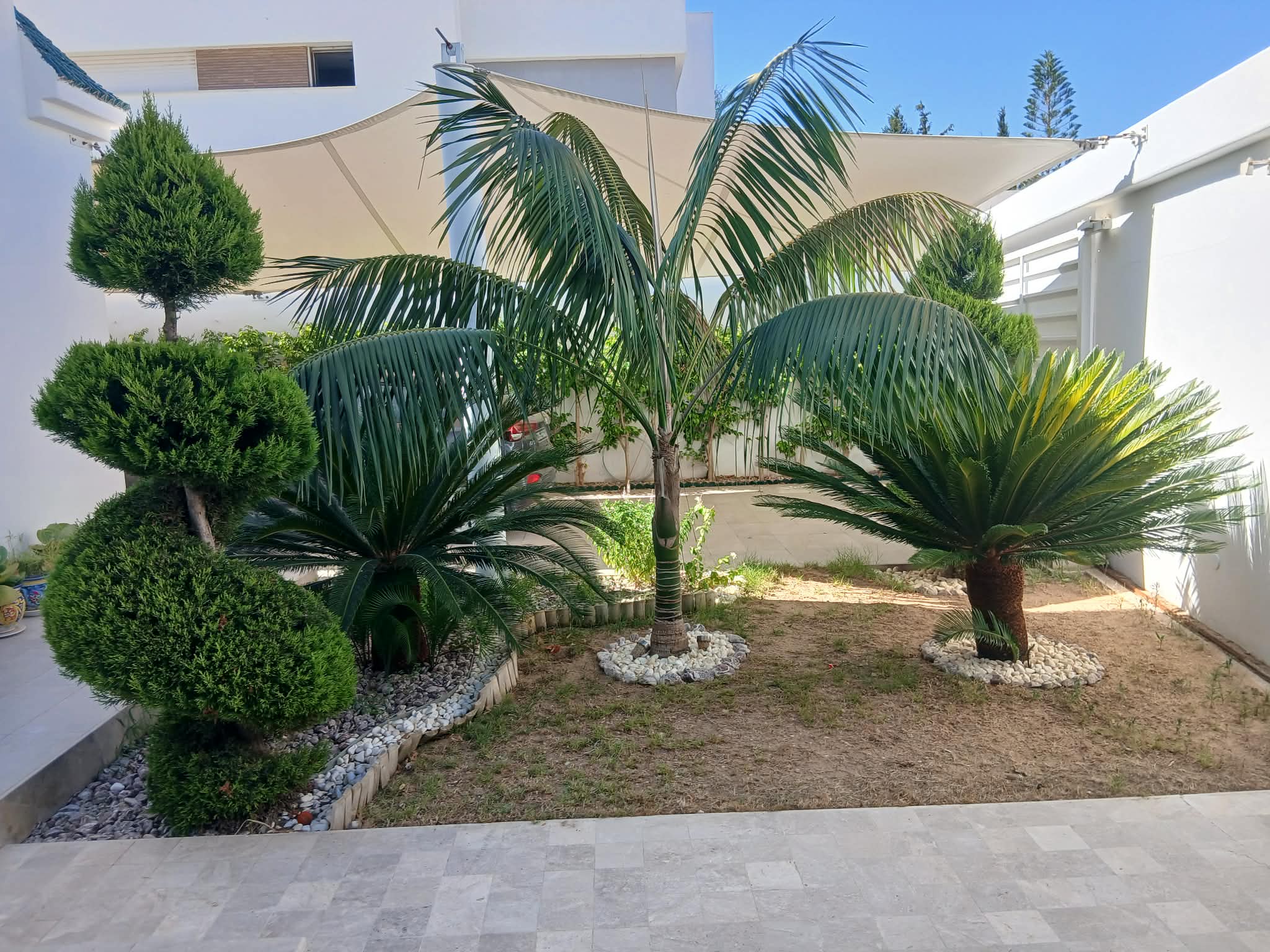 Zone touristique hotel magic life