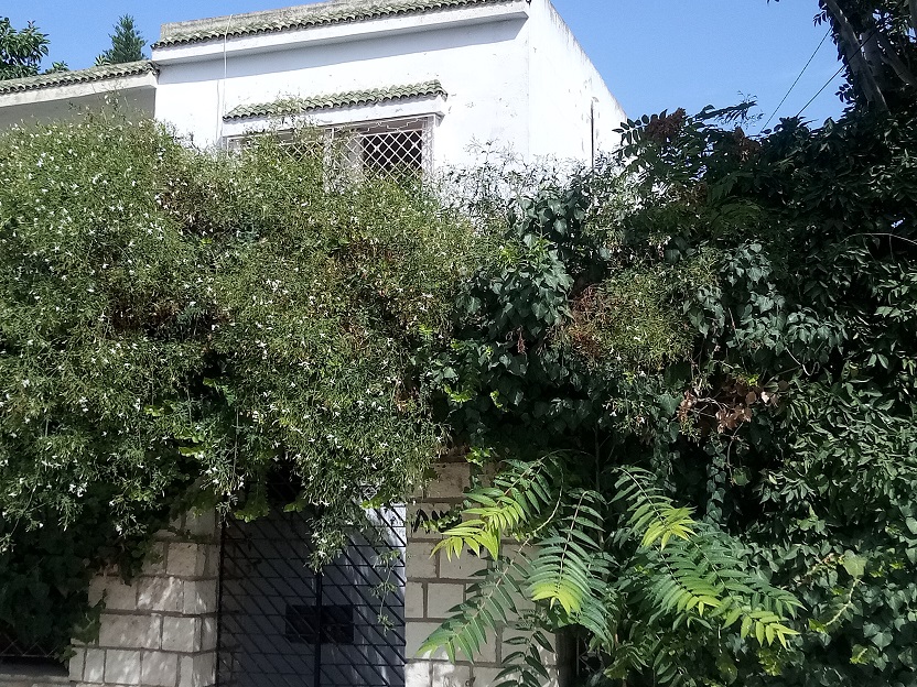 Maison s plus 3 à bardo