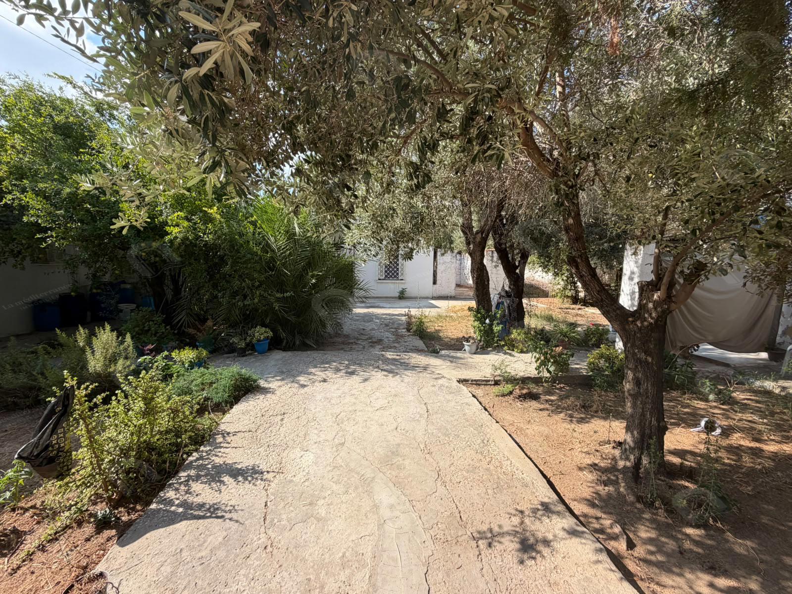Grande propriété de 598 m2 au bardo cité saada