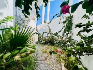un appartement s3 au ref812a