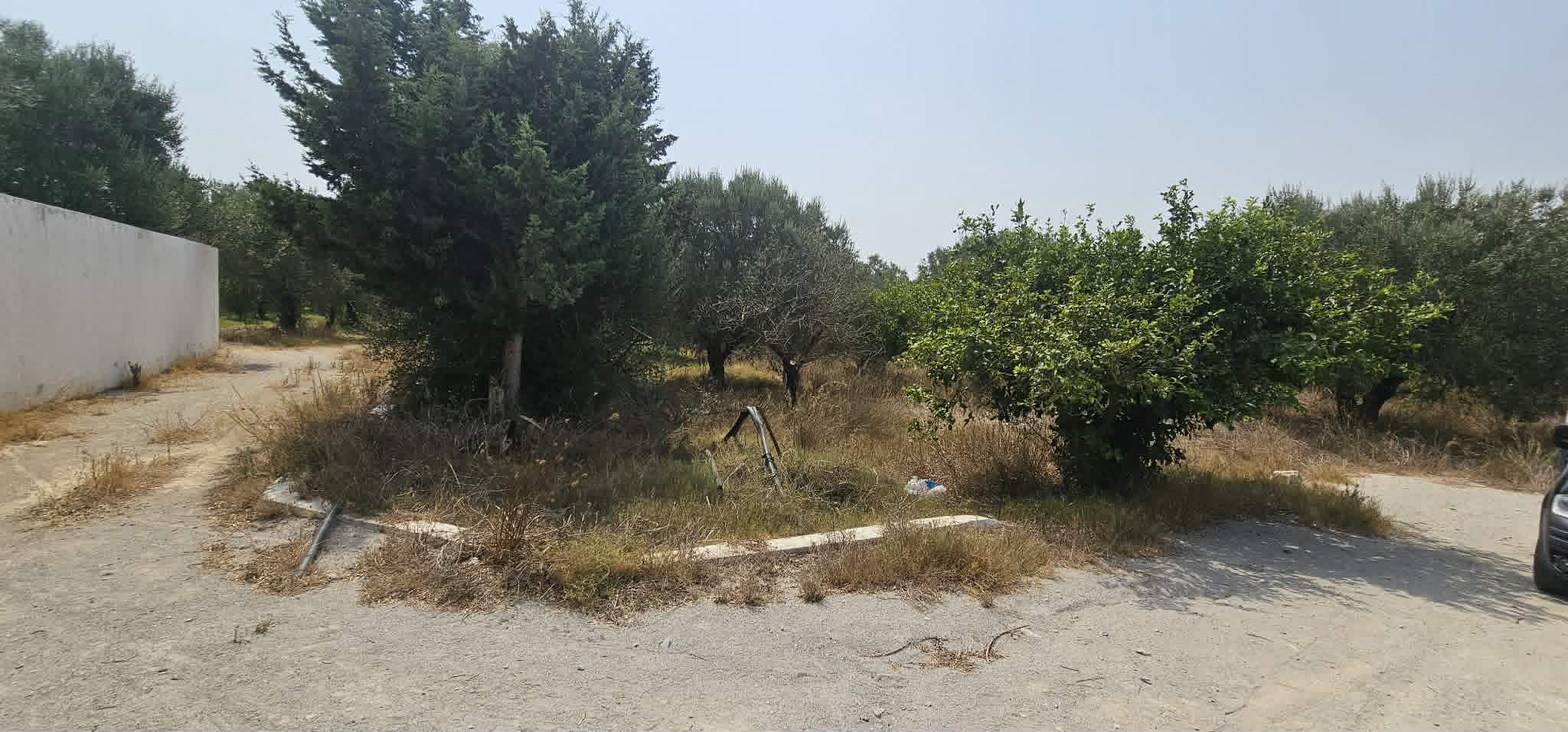 Deux terrains a hammamet entoure par des villa