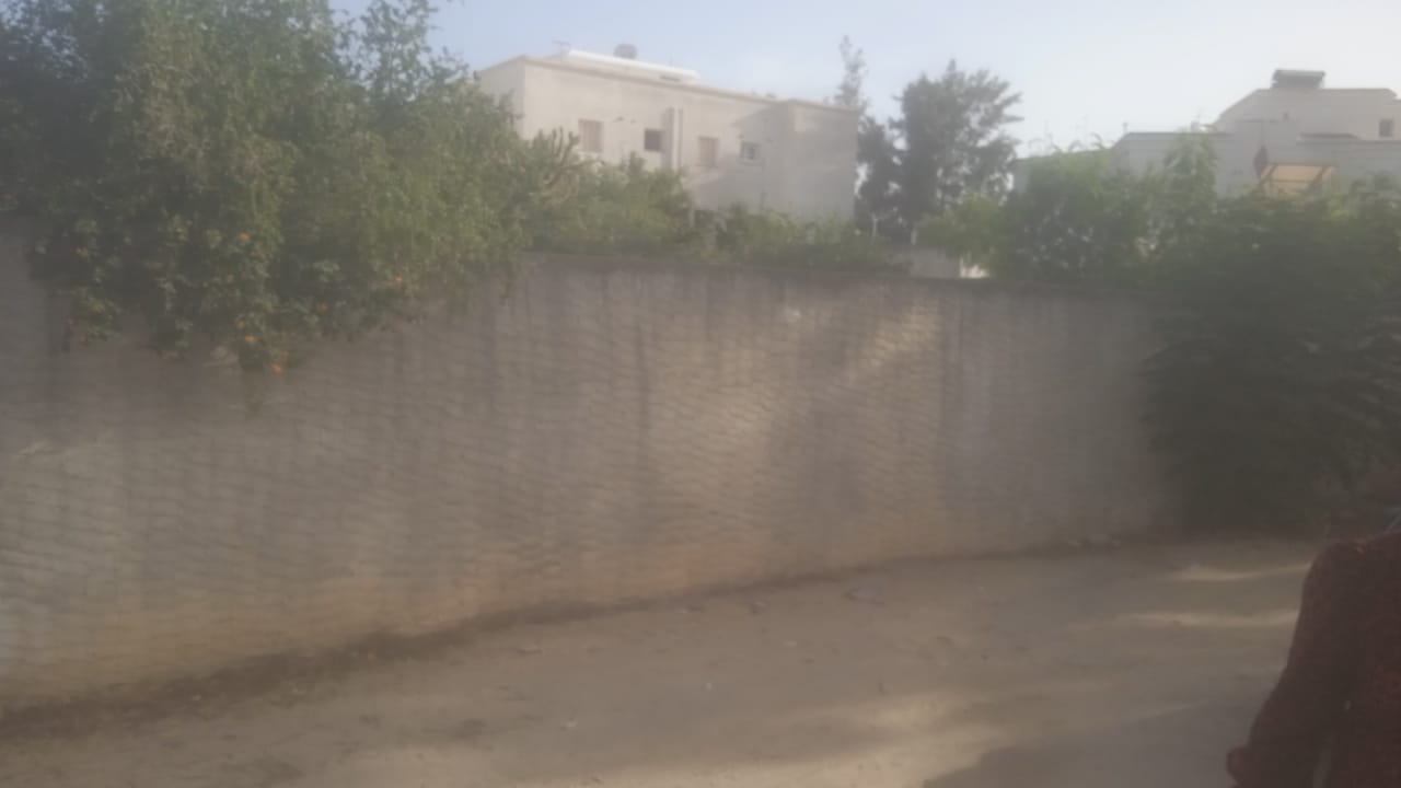 Terrain à hammamet