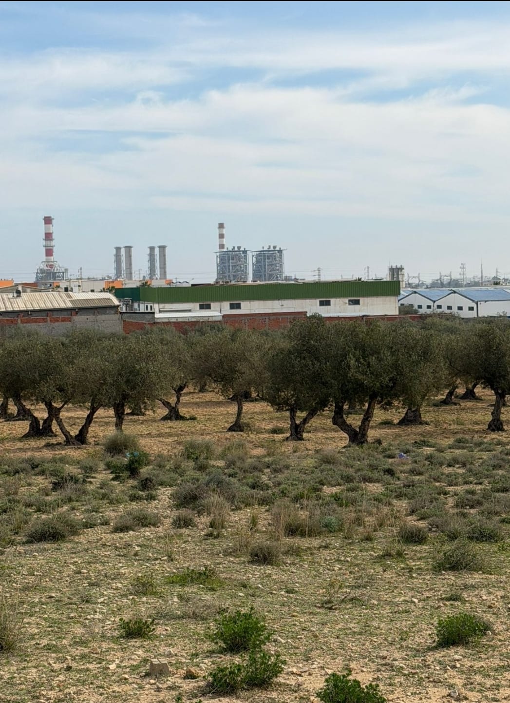 Terrain constructible sousse 30000 m