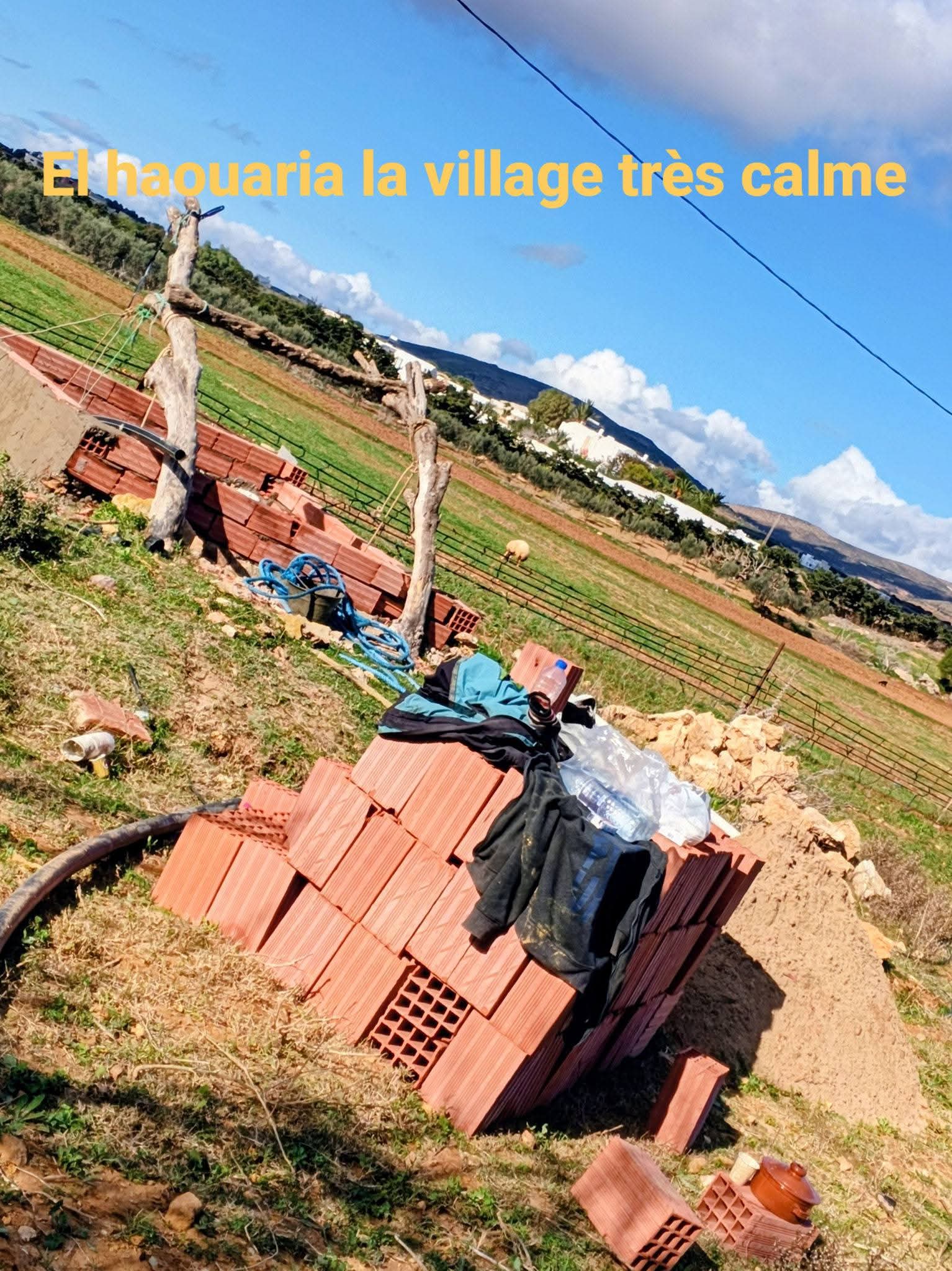 Terrain habitation haouaria plage