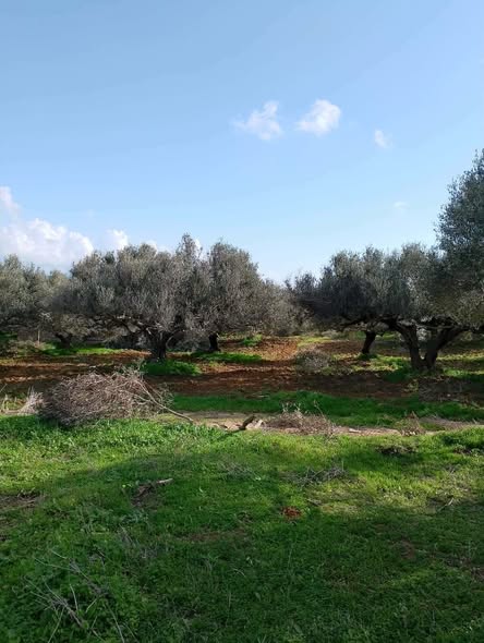 Terrain agricole