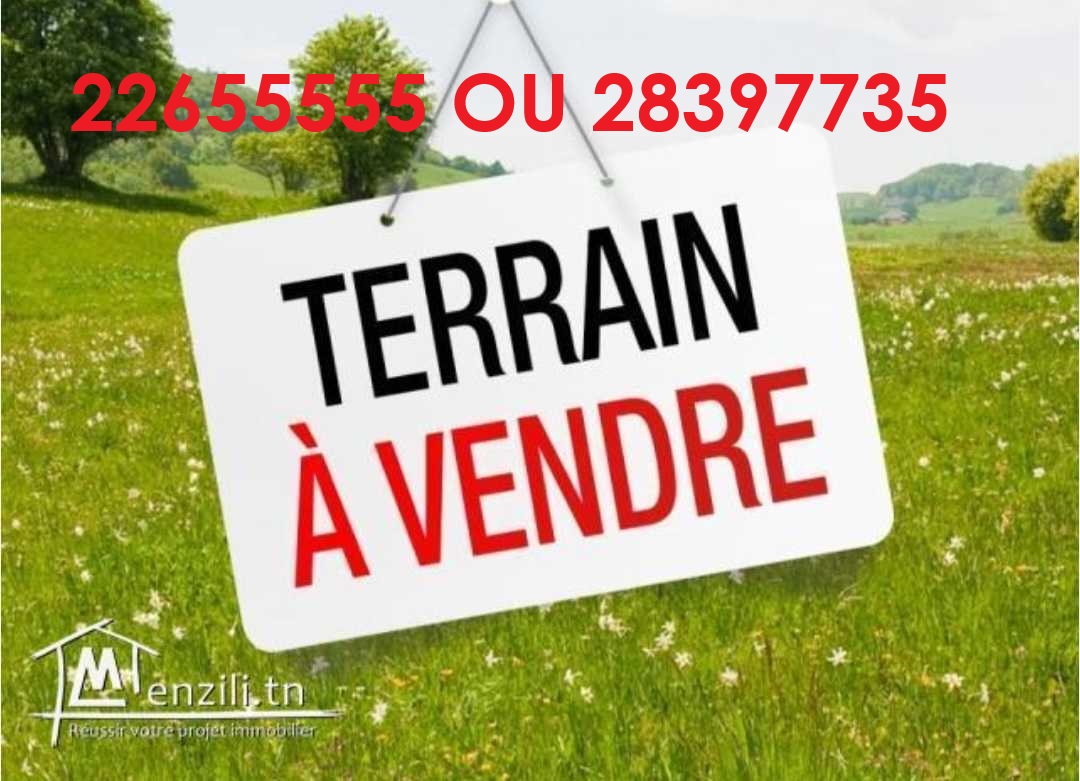 Lot terrain 500 mettre