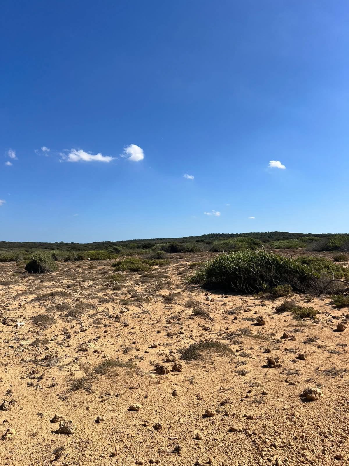 Terrain vue mer