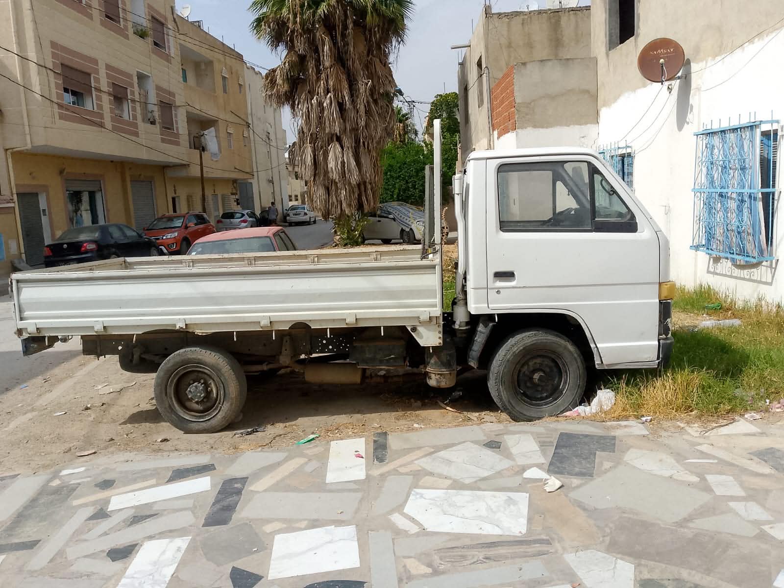 Camion isuzu