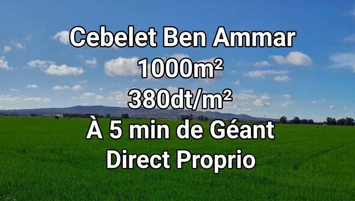 Terrains titrés tf cebelet ben ammar