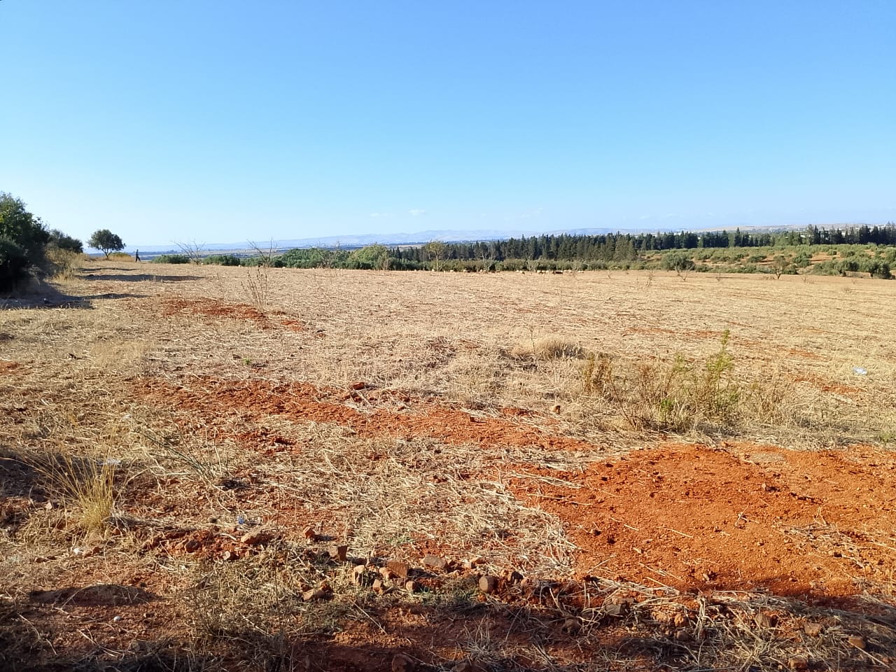 Terrain de 1 hectare à sidi thabet jabbes