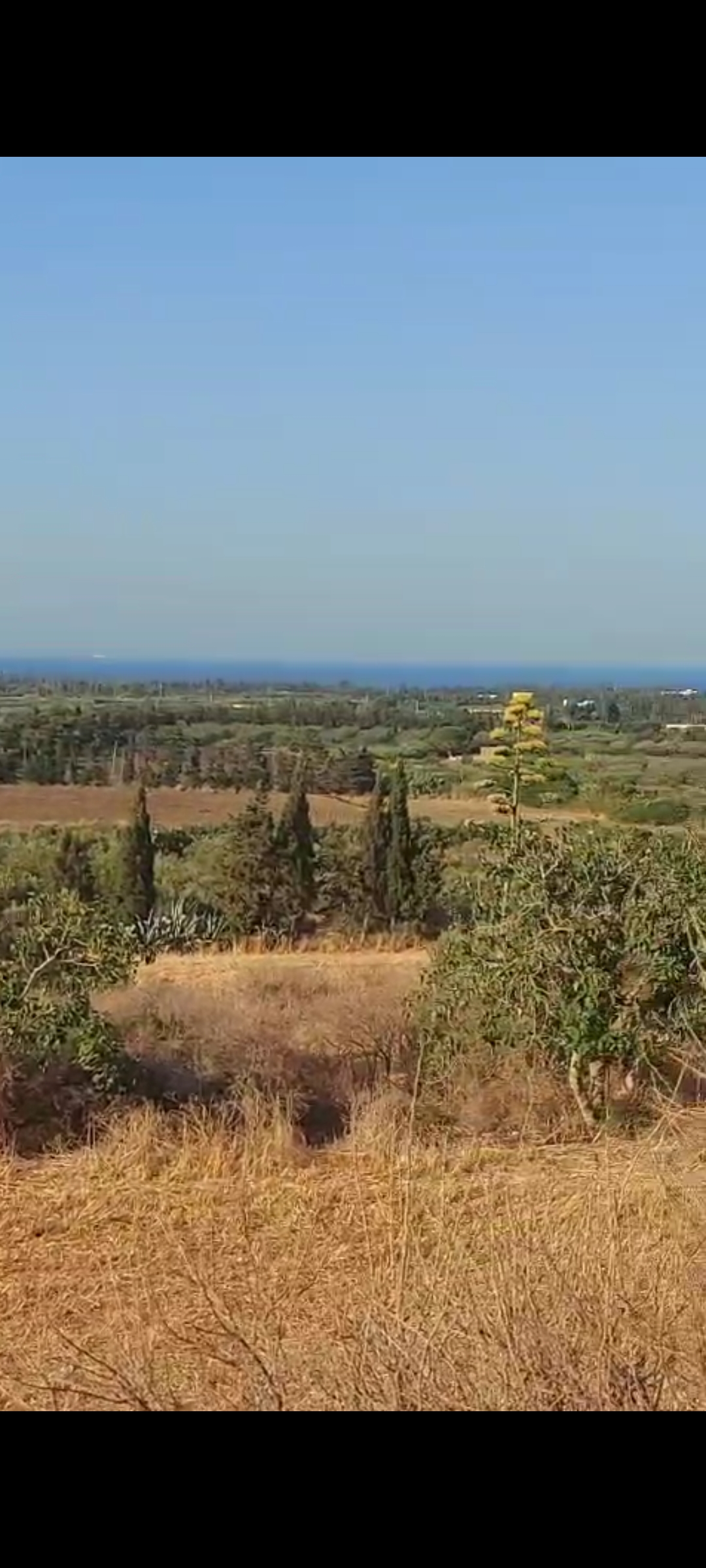 Terrain rasjbal ola kiosque