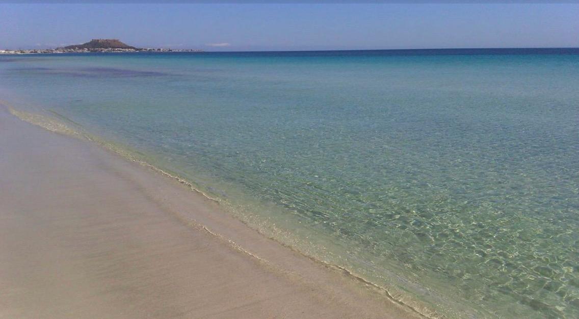 Terrain rare pieds dans l'eau