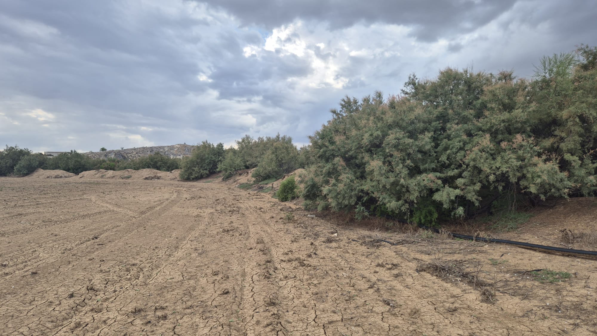Terrain agricole medjez el bab