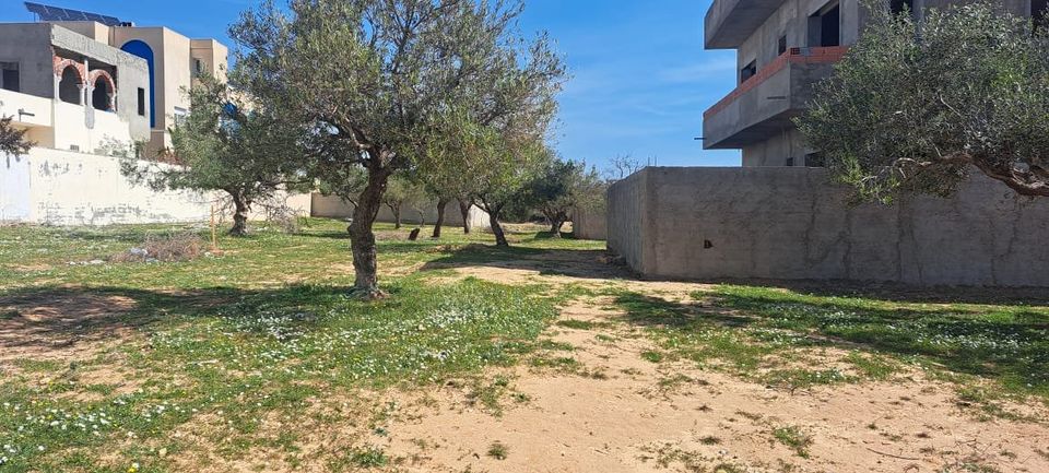 Un lot de terrain a mrezga hammamet
